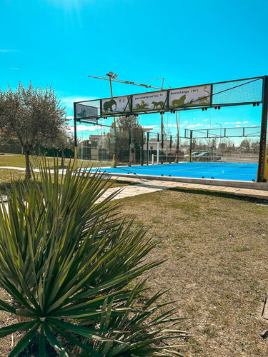 Padel Around the Lake - Voucher - Tante Emma Online